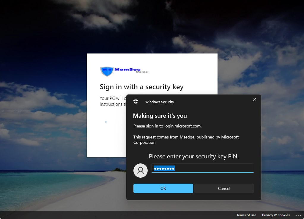 security-key-pin
