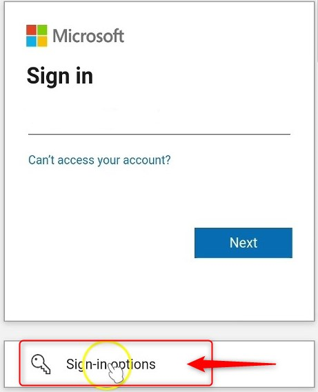 company portal app sign-in options